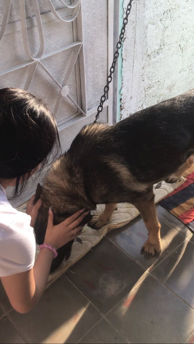 NdlcNR's tweet photo. Y pues esta soy yo , cada vez q veo un perrito https://t.co/p3fVGEvzsS