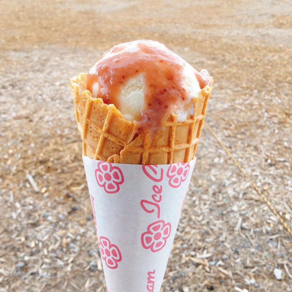 artista_asama's tweet photo. 【フードブース情報①😋🍱】
🗓4.30(日)
🏟佐久総合運動公園陸上競技場
⏰11:00 開場
#井上寅雄農園
#さくから
#wrapwrap
今週、北信越フットボールリーグ第3節のホーム戦にて、たくさんのフードブースが出店致します🚚🚚🚚
試合は13時キックオフなので、ランチはぜひ佐久陸で🤤✨ https://t.co/HtvlPTq7WB