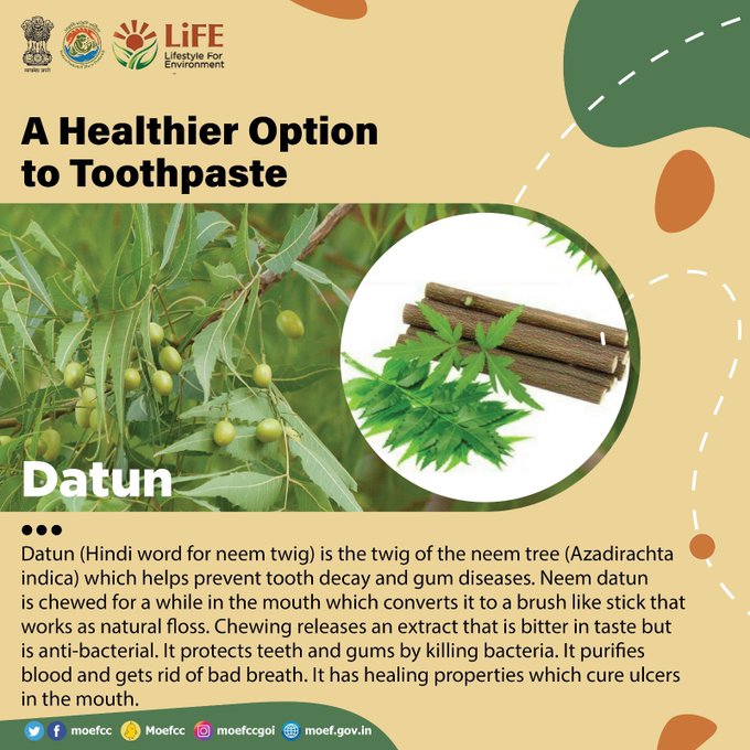 blwvaranasi's tweet photo. #Datun a Healthier option to Toothpaste! #ChooseLiFE #MissionLiFE
@RailMinIndia
@AshwiniVaishnaw
@moefcc
@mygovindia
@gmblw https://t.co/OZ1puY8Oac