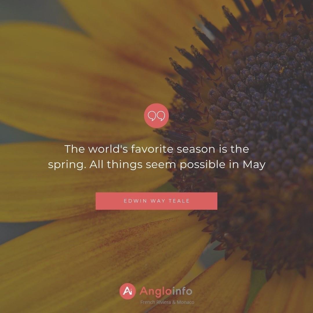 Angloinfo Limited tweet media