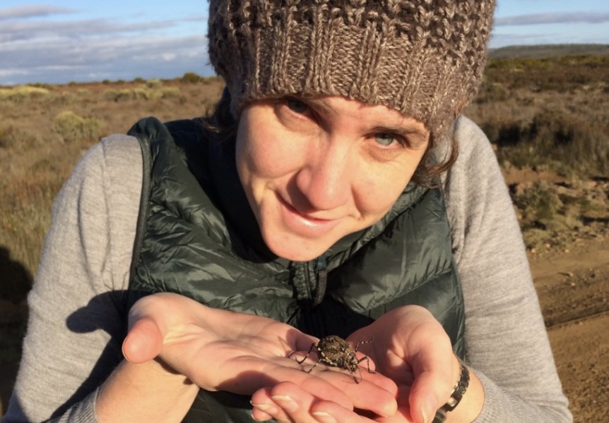 Western News tweet media