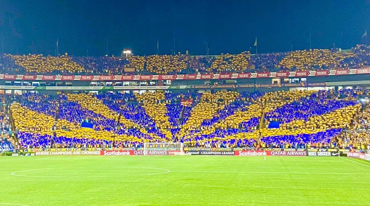 Danieel_Torres's tweet photo. Esto es lo que iba a salir / y esto es lo que salió. No entiendo porque la Liga tiene injerencia en la Conca, que por lo que pasó en Tijuana? Eso no le compete ni a @TigresOficial  ni a @LIBRESYLOKOS  dejen de matar la pasión por el futbol @LigaBBVAMX neta, están acabando con todo @SancadillaNorte