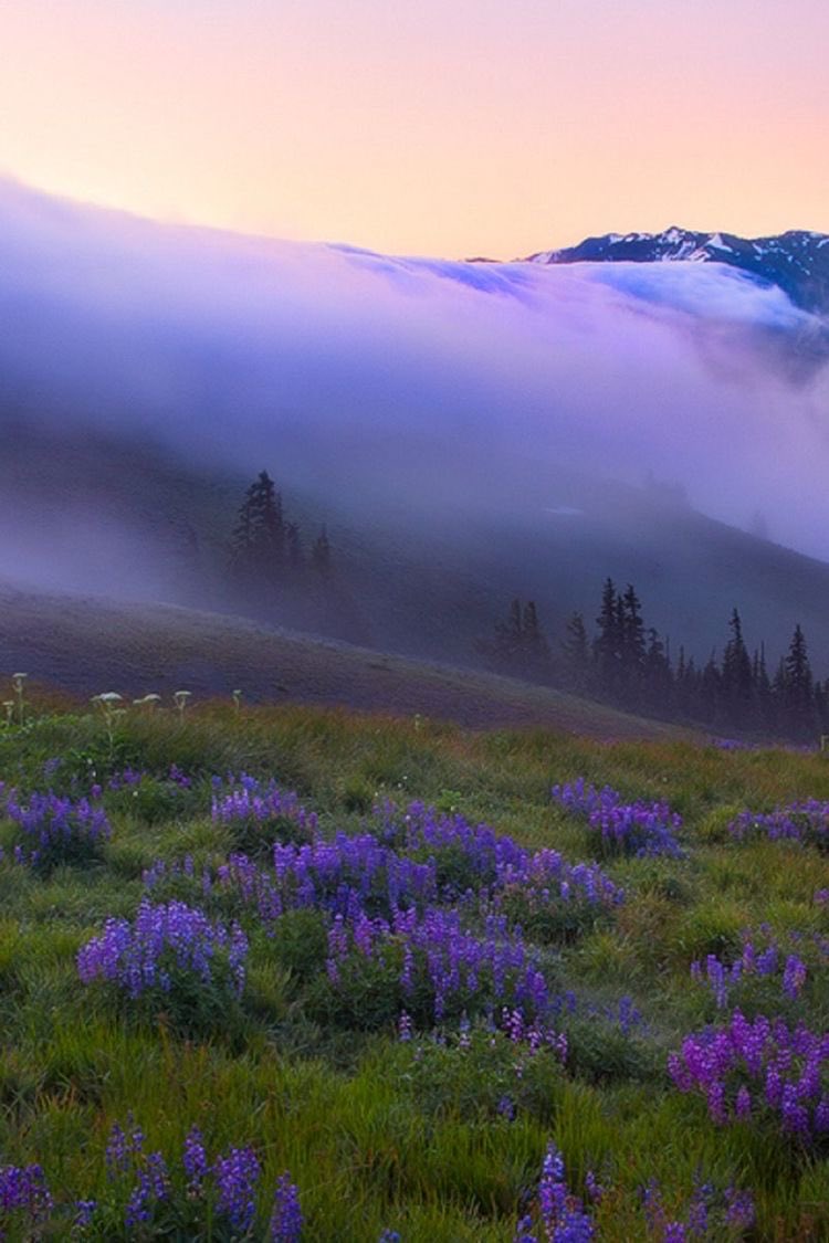 Good morning friends!
#photos #photography #morning #sunrise
