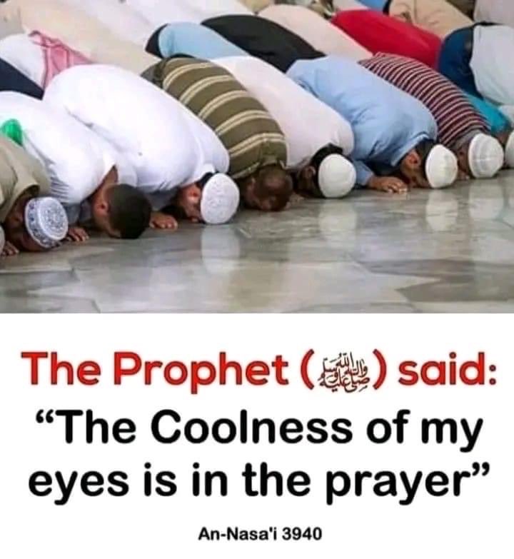 ZainabSaiduBako's tweet photo. The Prophet Muhammad ( Sallallahu Alayhi Wasallam) Said: “The Coolness Of My Eyes Is In The Prayer”…🕋📿 https://t.co/pJMPEeykBv