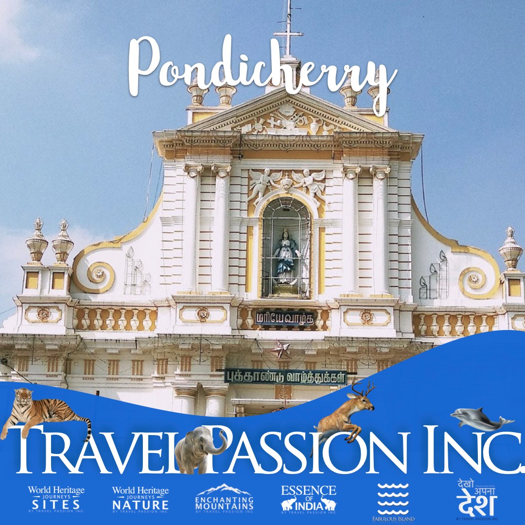 Plan your #pondicherry #holiday travel with Travel Passion INC.
DM your queries.
#tours #pondicherrytourism #pondicherrybeach  #pondicherryfood #family #incredibleindia #travelagent #touroperator #touring #Holidays #vacation #familytours #grouptours #solotravelers  #hotels