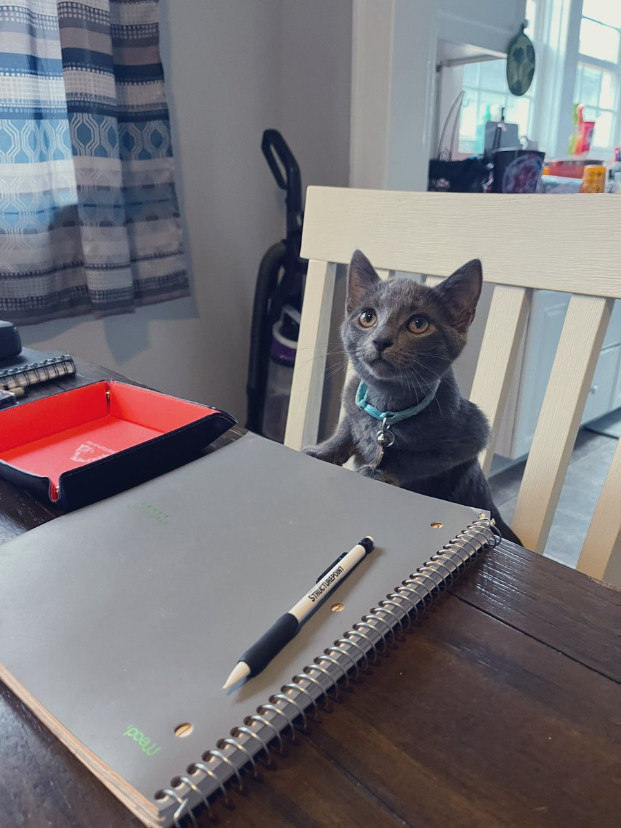 ToebeanBrigade's tweet photo. 💛 Introducing Dandelion! 💛

🐾 AKA: Dandy Pants, Crocodile Dandee, Dandimus Pantimus, Sweetie Pea, Snugglebutt, Soft Gorl, Best CoWorker, Little Miss Sunshine, Smiley, Dan DeLéon, Cutie Patootie, Tippy Toes 🐾

#Cat #CatsOfTwitter #CatsOnTwitter #cats https://t.co/Q6cnQsB0SZ