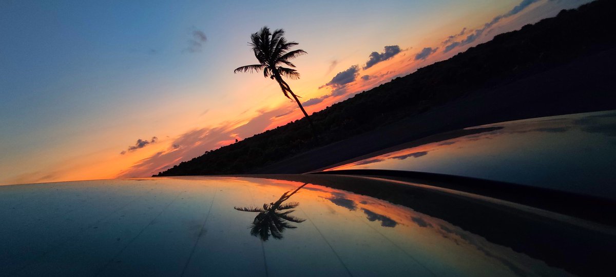HugoBejar_cine's tweet photo. Una vuelta a la Isla y se resetea el alma #Cozumel https://t.co/tLetHad64E