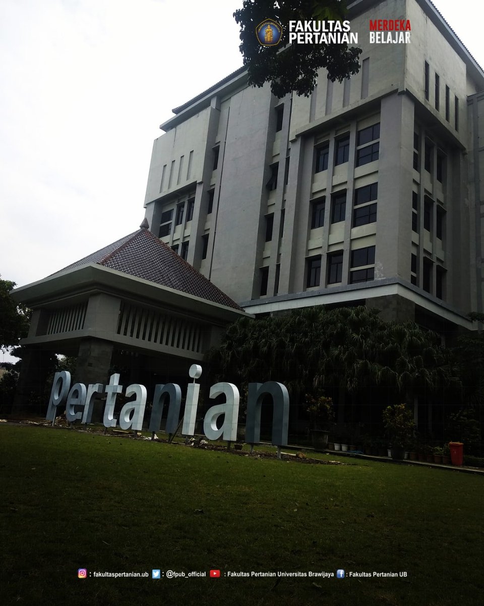 RT fpub_official "Kembali ke fitrah....
Awali aktifitas dengan niat baik...

#tanijoyo 
#banggapertanian "