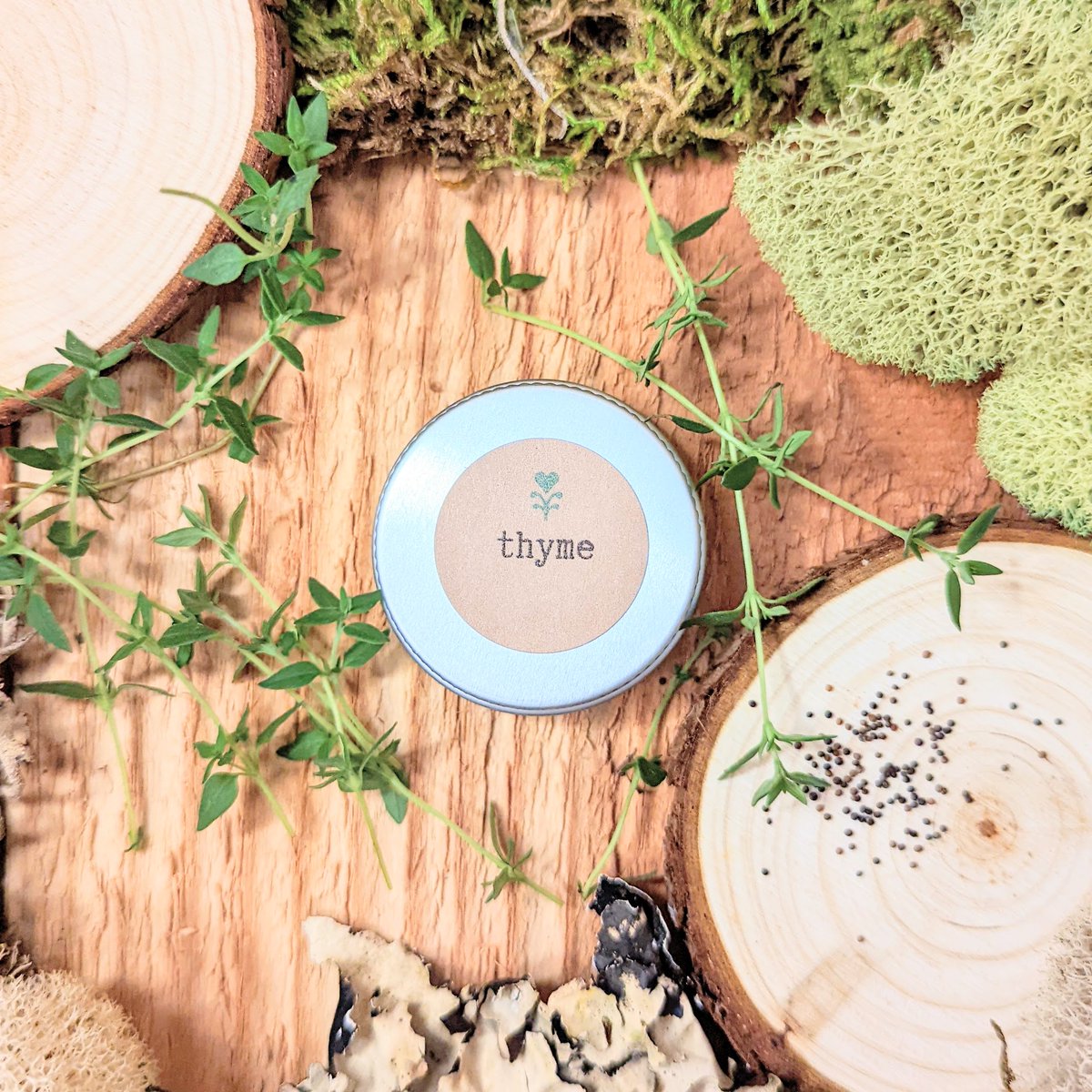 Must-haves for any herb garden 🌿 #thyme #organicseeds #herbgarden #organicherbs