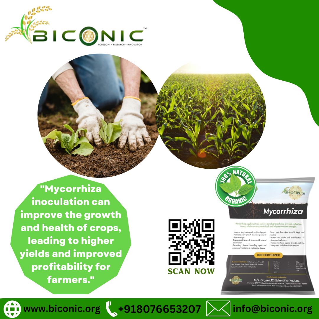biconicorg's tweet photo. "Mycorrhiza"
.
.
Contact On: +91 8076653207
#orgnic #agriculture #organicfarming #farming #agri #gardening #agricul #agritech #gardening #green #sustainable #fertilizer #trendingnow https://t.co/LZasGsZ8dT
