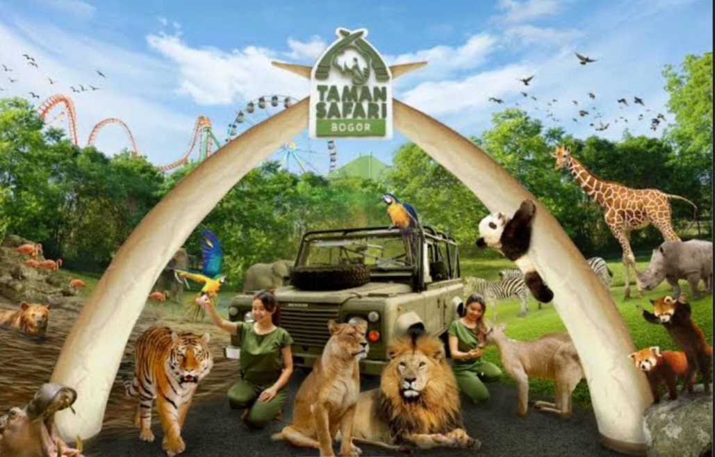 pwrkndy's tweet photo. @WayV_official I recommend you guys to go to TAMAN SAFARI INDONESIA in Bogor 🦒🦓

In there you can see animals by a car like in the picture below + can feed them👇 there's a panda castle and you can see beautiful mountain.  And there's a cobow show and dolphin show that you can watch🐬🦧🦁 https://t.co/BpXFZLXDoY