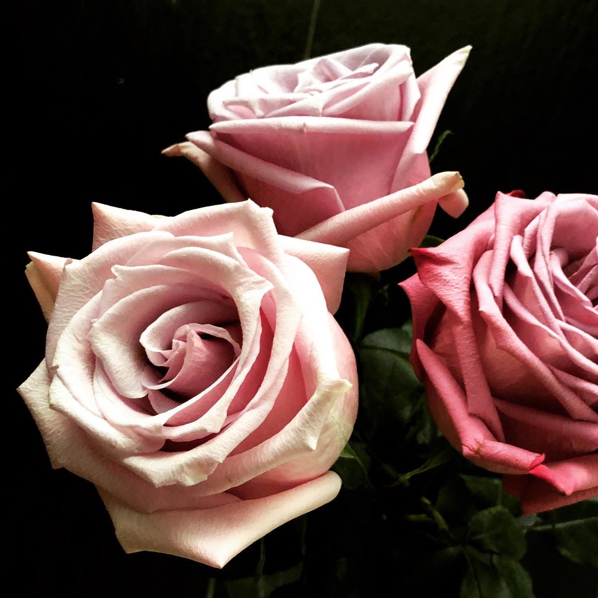 Yhdyskuntasuunnittelun seura ry tweet media