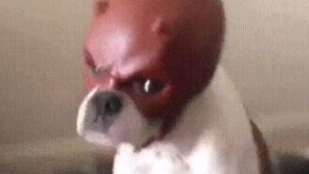 Hector aka Degen king tweet media