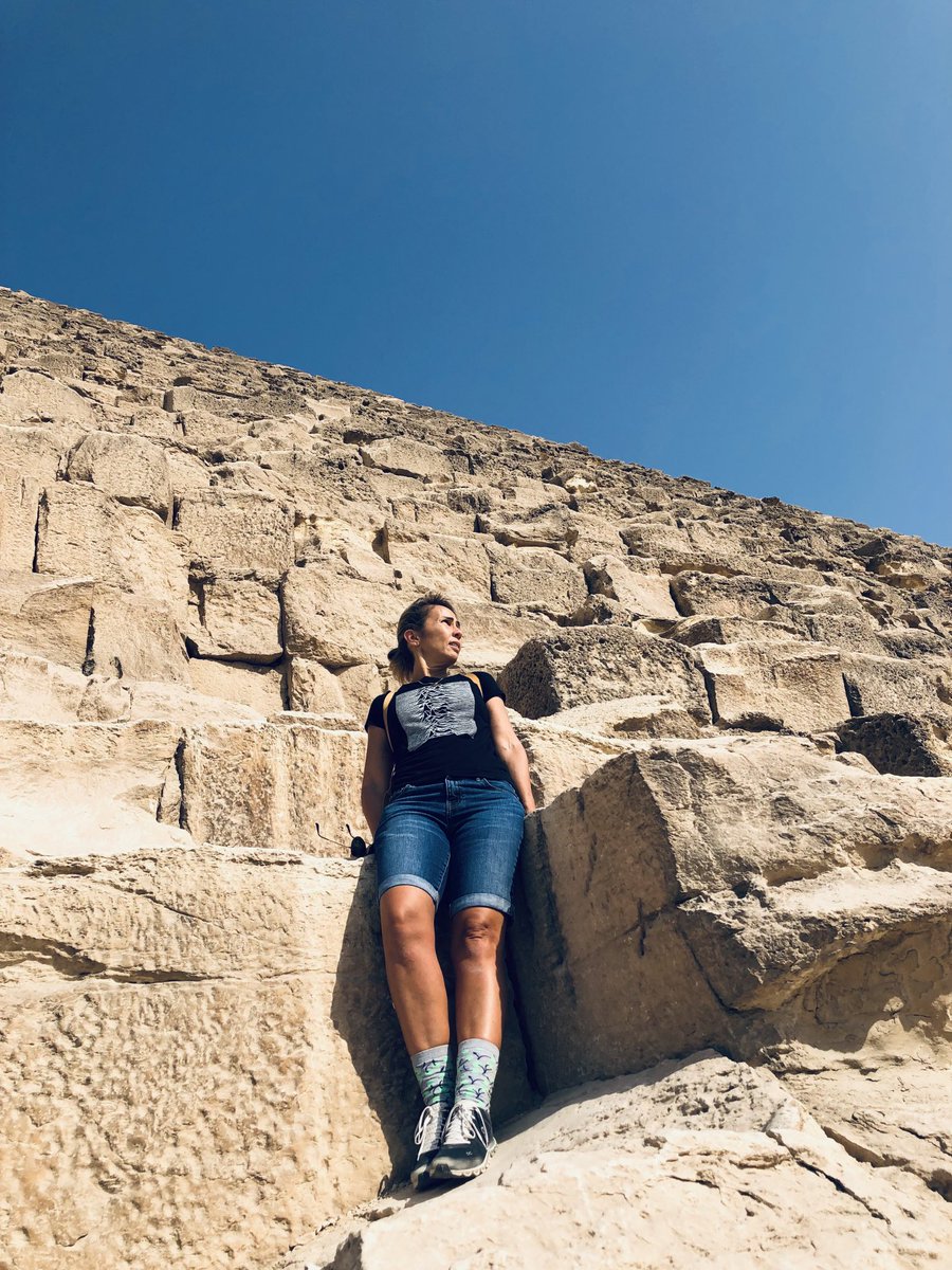 PinkTaxiRunner's tweet image. Like those seeds that come to life after a thousand years in some pyramid #rabbitatrest #johnupdike