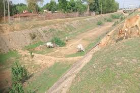 कोनार नहर चालू करवाया जाए । तीन जिलों के किसान के खेतों में पानी पहुंचाया जाए ।
<a href="/HemantSorenJMM/">Hemant Soren</a>
<a href="/JharkhandCMO/">Office of Chief Minister, Jharkhand</a> 
<a href="/Badal_Patralekh/">BADAL</a>