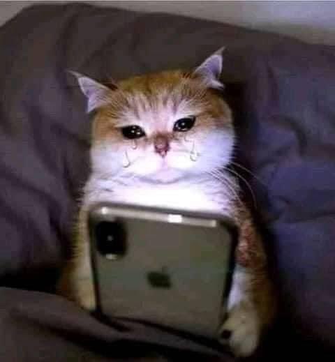 world_eror's tweet photo. شاهد عائلة تحترم النائم ولا تزعجه اثناء نومه https://t.co/lHWPTTF72u