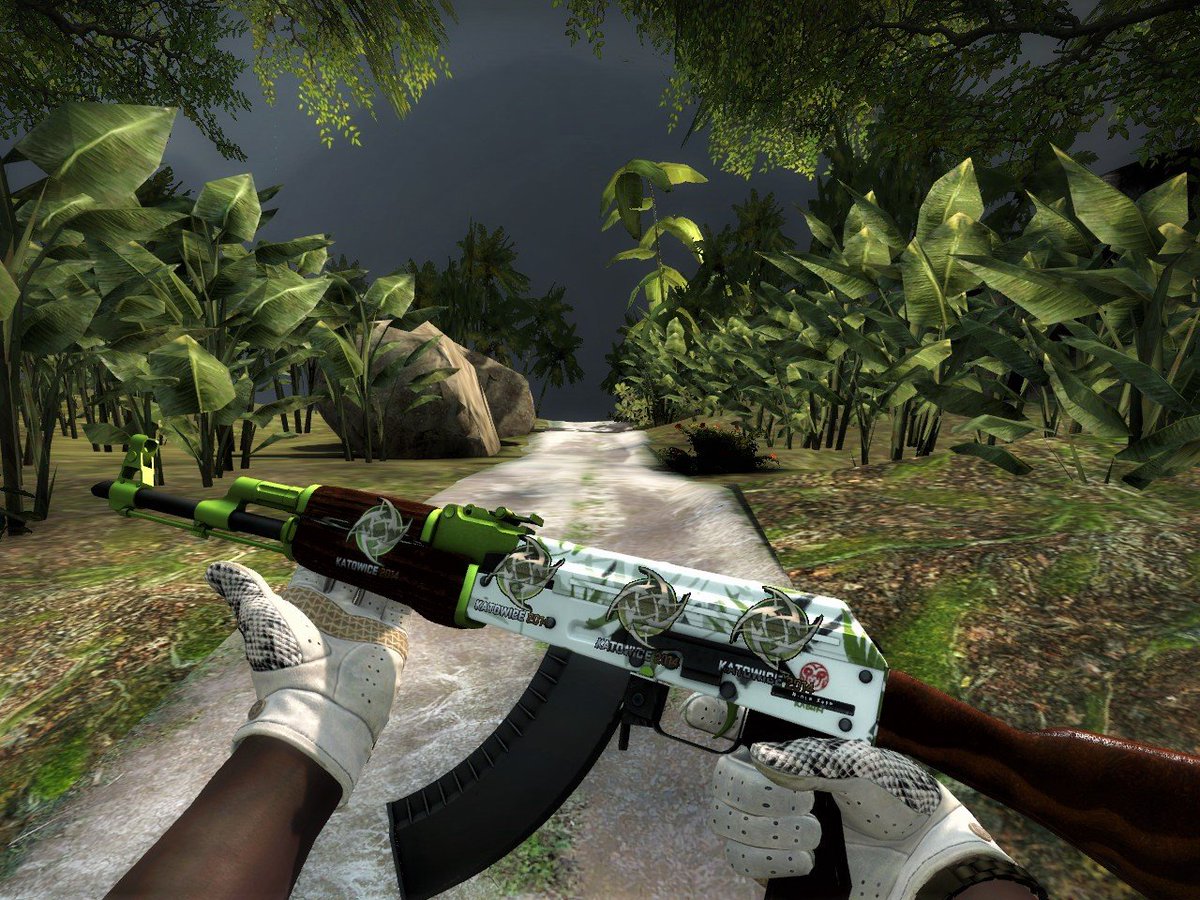 zipelCS's tweet photo. one of my fav AK+glove combos 

flawless king snake fn with the 0.0002 hydroponic 4x nip holo https://t.co/ew72UCapq8