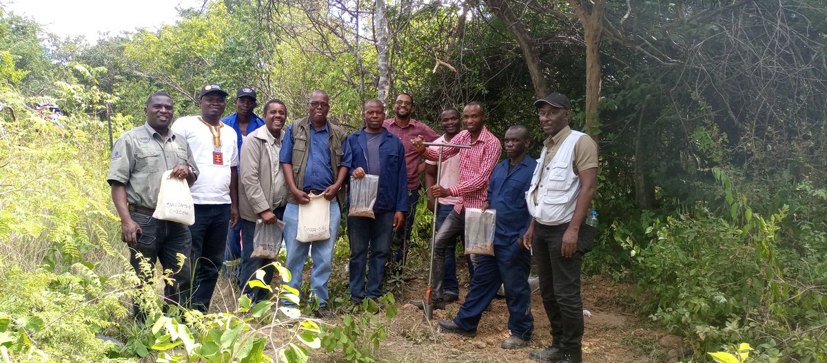🧰Fieldwork is underway in the <a href="/Soils4A/">Soils4Africa</a> project! An exciting time where 20,000 samples are being collected across the whole African continent using standardized methods.

Learn more: isric.org/news/soils4afr… Funded by <a href="/HorizonEU/">Horizon Europe 🇪🇺</a> 🇪🇺