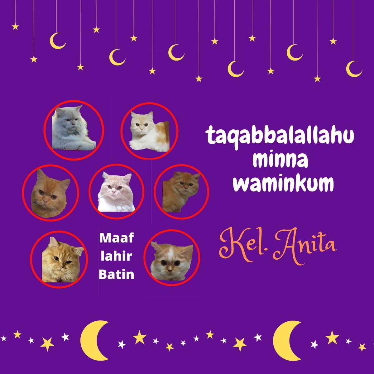 anita tweet media