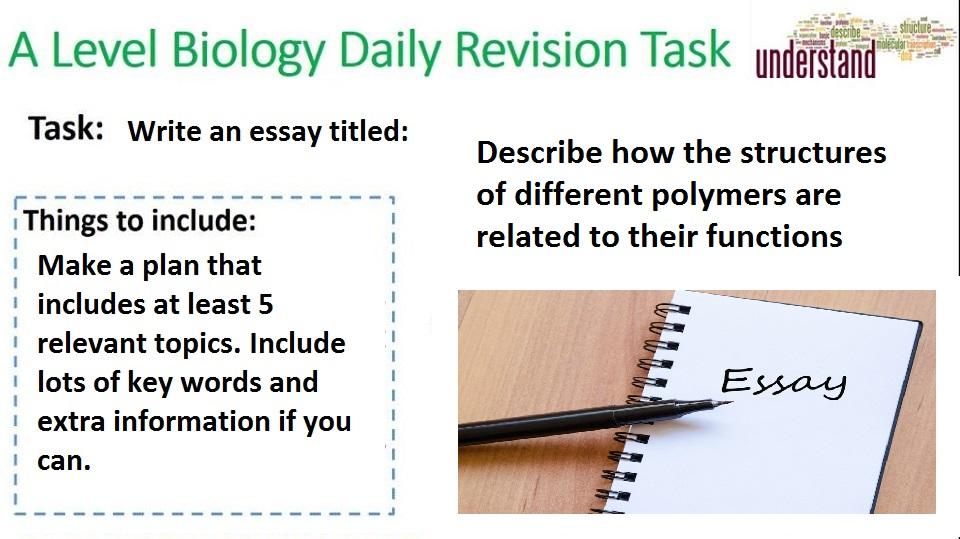 Today's tasks...