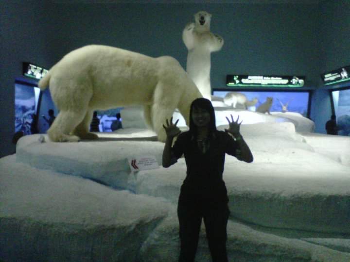 Polar Bear 🐻‍❄️👐🏻😄