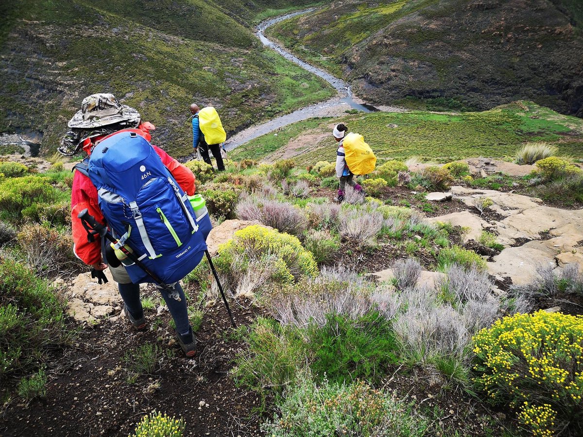 Motlatsi Rakolobe tweet media