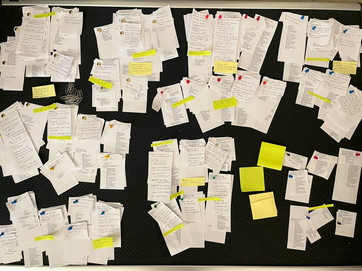 Just a little theme development - exploring Paralympic and Olympic athletes’ sport psychological well-being. 🏂🏋🏻⛹🏻‍♀️🏄🏻‍♂️🏊🏻‍♂️🚴‍♂️🏃🏻‍♀️#qualitative #themedevelopment #themes #wellbeing