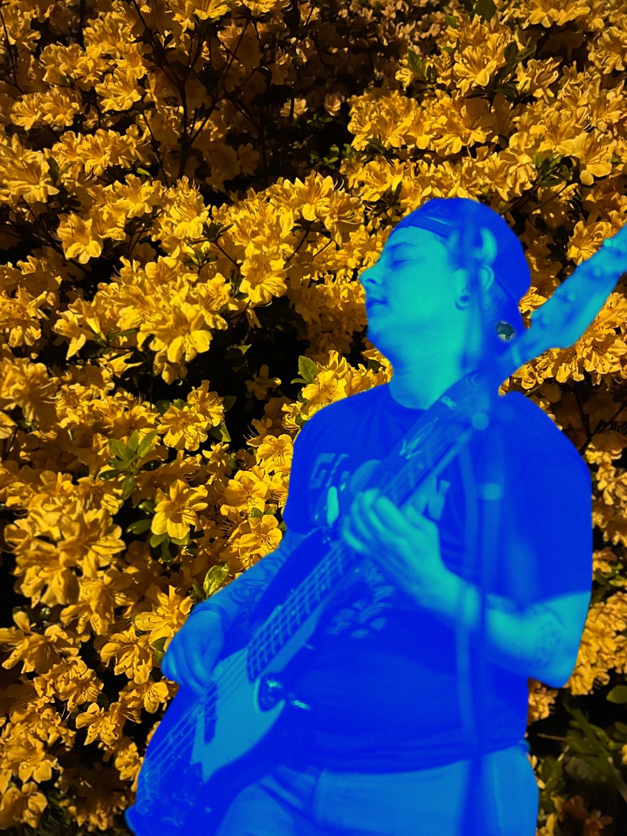 Endlings tweet media