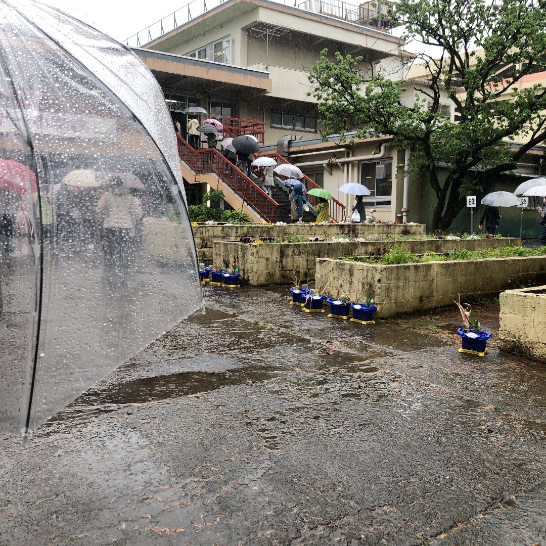 Perlstern's tweet photo. 雨の中の引き渡し訓練マジきつかったー。学童は絶対行きたいというから連れて行ったけれど、いつもの送迎車使��なくて歩いていったから疲れた。 https://t.co/v9aKPQZcnb