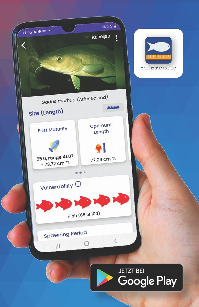 FishBaseProject's tweet image. #FishBaseGuide app extracts information from FishBase.org and includes several essential features &amp;amp; functionalities –size (length at #firstmaturity, optimum length, &amp;amp; #maximumlength), #vulnerability, #spawning period, distribution, and more. 🔗 bit.ly/FishBaseGuideGP