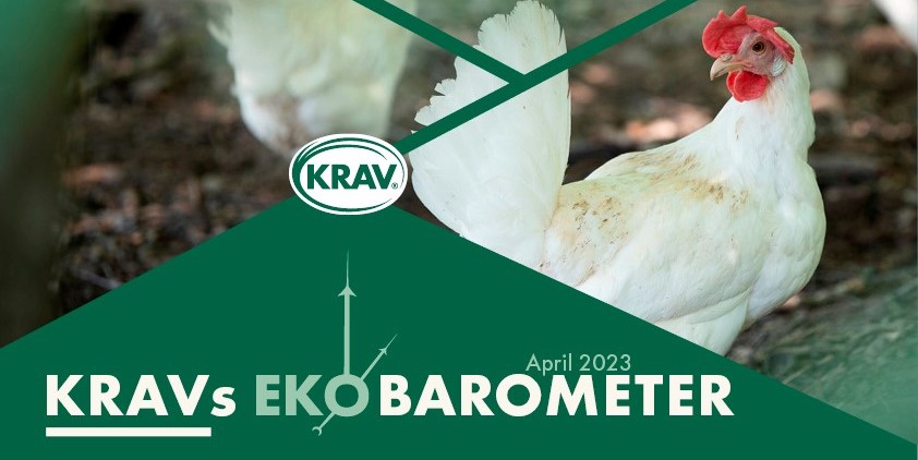 Sverige är fortfarande bäst i världen på ekologiska inköp till offentlig sektor. Och försäljningen av KRAV-märkt ost ökade markant under 2022 både i värde och volym. Det visar KRAVs Ekobarometer som lanseras i dag.

Läs Ekobarometern här: krav.se/om-oss/kravs-e…
