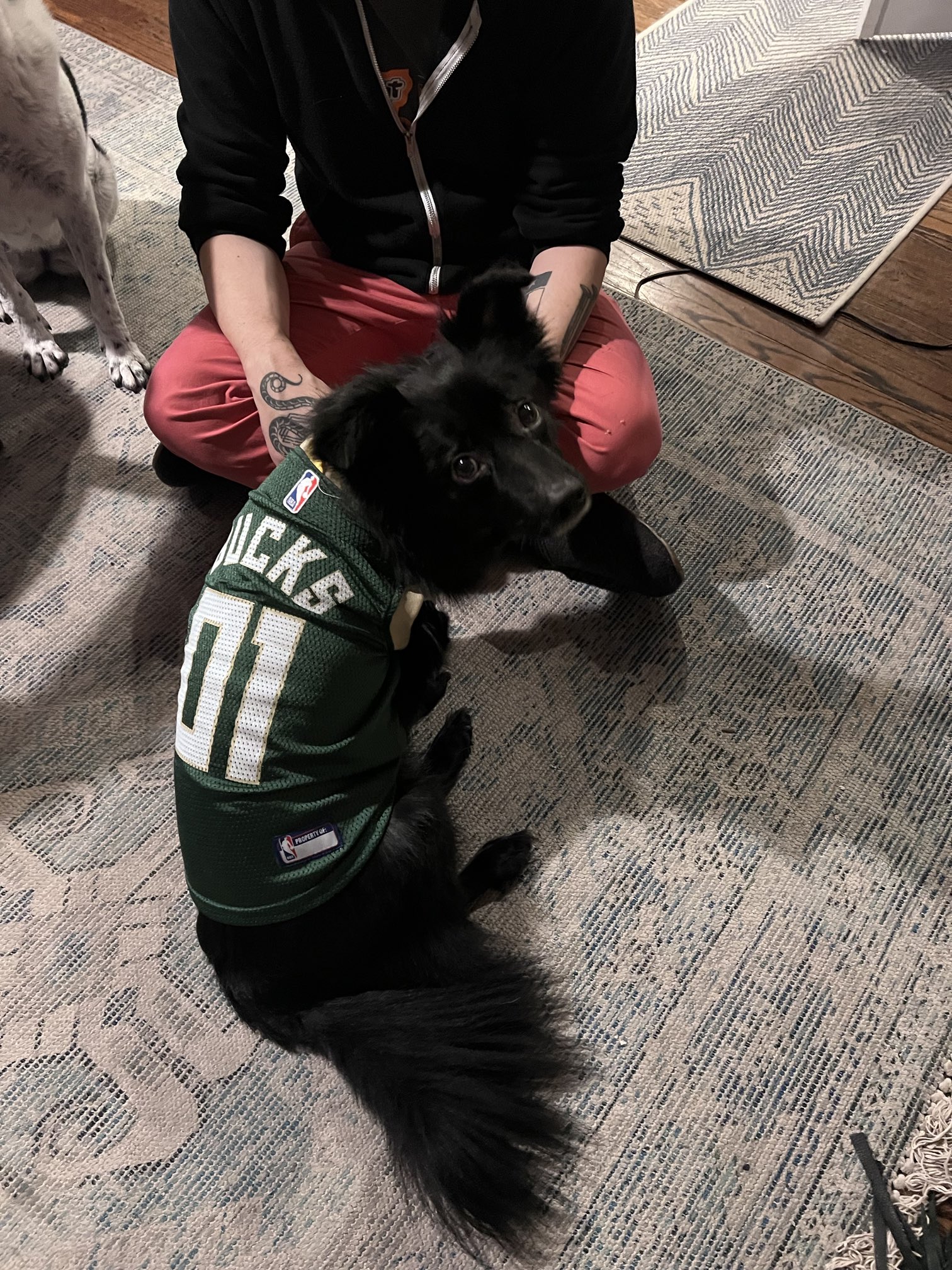 Bucks dog jersey 2025