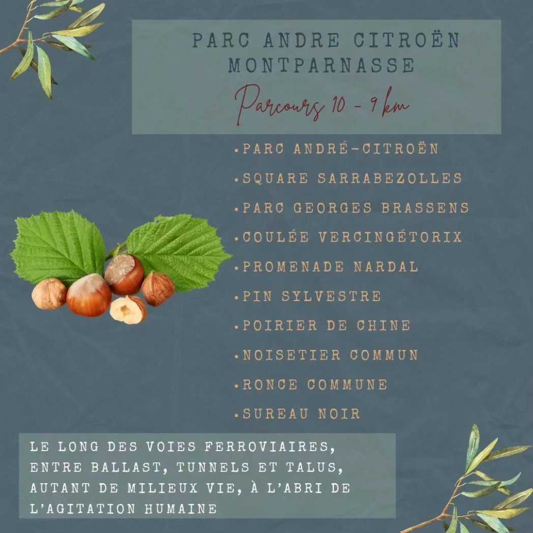 timonetpumbike's tweet photo. 10ème parcours de l'Atlas de la Nature à Paris : promenade le long des anciennes voies ferrées du sud de Paris 🚴‍♀️🚴🌱
#parisfrance #voyageavelo #veloroute #velotourisme #igersparis #visitparis #parismaville #quefaireaparis #parisvelo #veloaparis #francevelotourisme #franceavelo https://t.co/fg02JpQ78y
