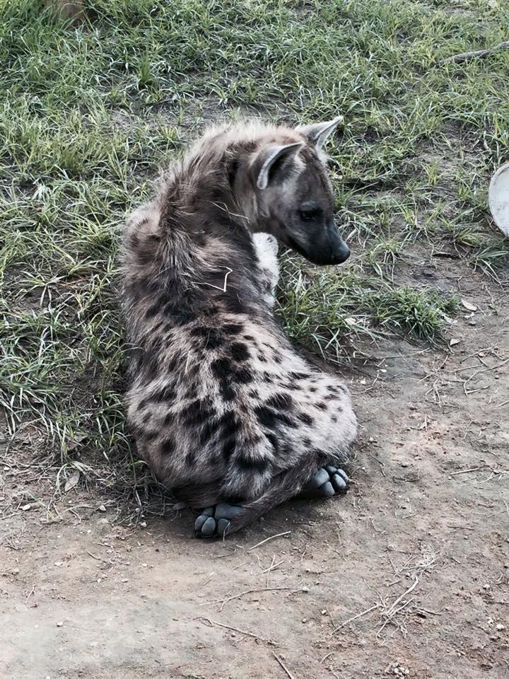 HourlyYeen's tweet photo. [🔗](https://t.co/7L7As2GwEV) https://t.co/2BcOKNDpMD