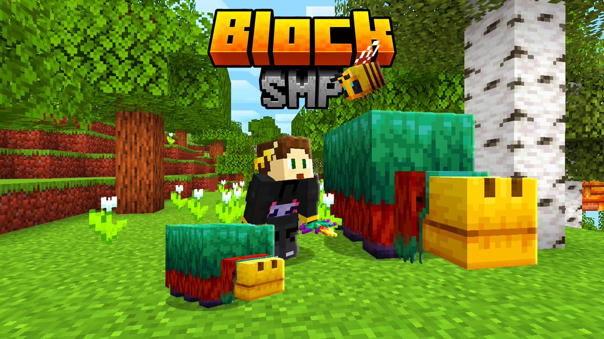 Block Team 👑 tweet media