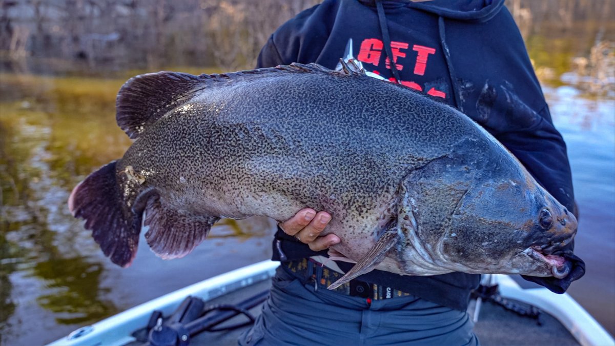 deandotfish's tweet image. So keen to test out the new rig and see if it's as good as I hope. Once I get these sounders installed in the new tinny, I am on the road. #watchthisspace #copeton #greenfish