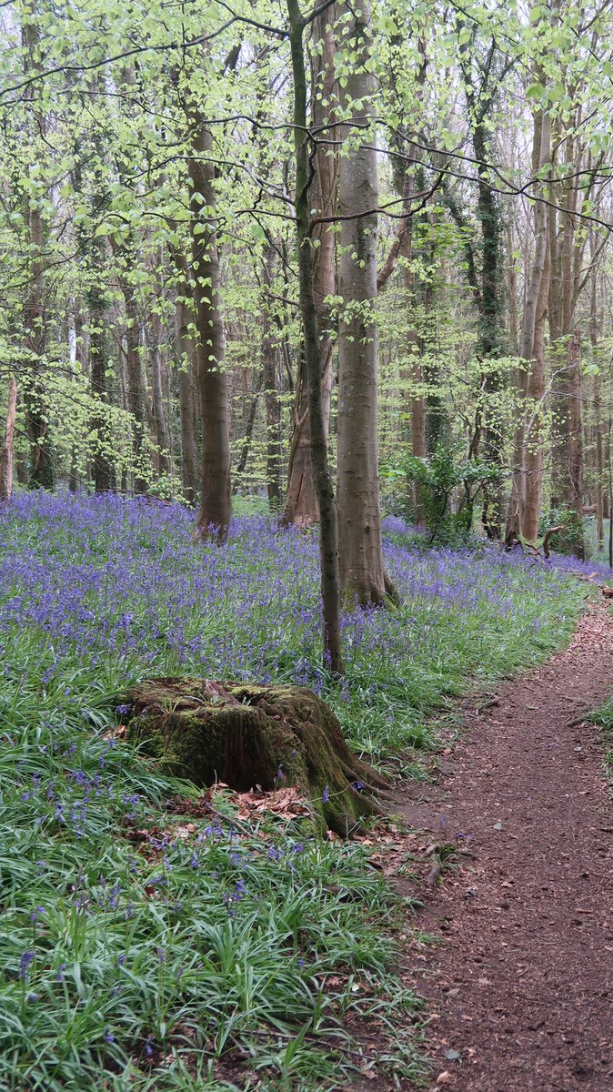 Carlingford Lough tweet media