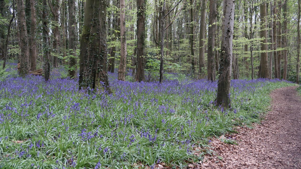 Carlingford Lough tweet media