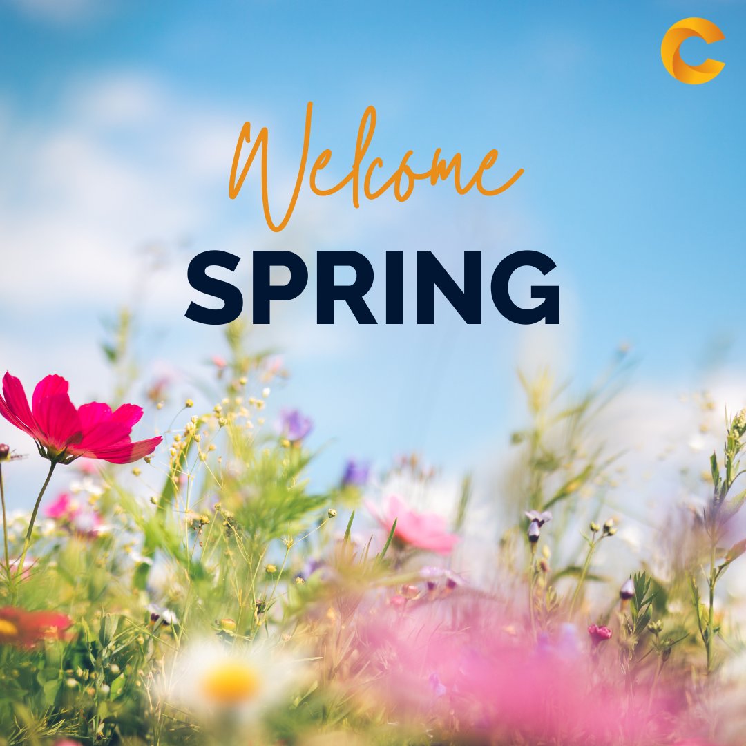 The arrival of #spring signifies #warmerweather and #longerdays. The sunshine is bright, the air is fresh, and the earth is bustling with life. 🐇🌱

It's nearly impossible not to feel joy and optimism during this season. Do you find yourself taking pleasure in spring?