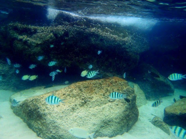 Coleccionandoim's tweet photo. Malasia: Más snorkel en Perhentian, y canoas (5) https://t.co/26hBRpiTYp https://t.co/H3YX7IGYyt
