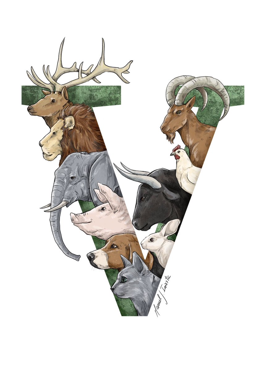 ManuelJIniesta's tweet photo. “V for Vegan” Art by @manueljiniesta_art
Digital Art with @procreate
#vegan #veganlife #govegan #goveganfortheanimals #govegan🌱 #animals #foranimals #artforanimals
https://t.co/MVtnuFTvEa
https://t.co/GscX9GP9I8
https://t.co/TlAg27exT0
https://t.co/1Y7u0QAjIw https://t.co/yLq9mjGGVf