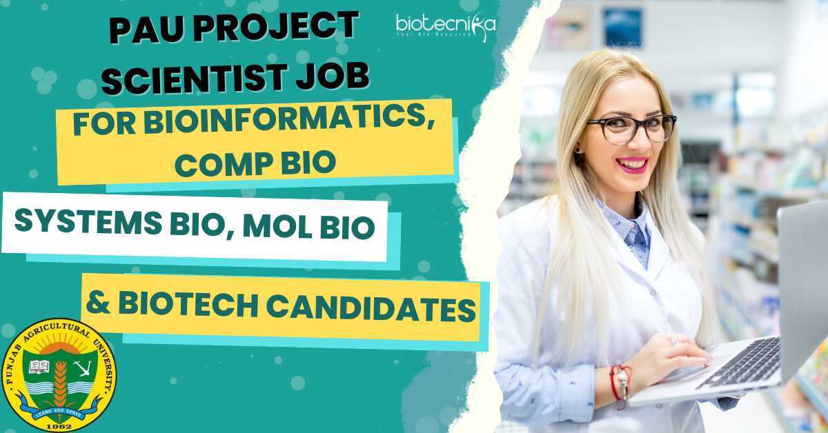biotecnika's tweet photo. 📣 Exciting news for Bioinformatics, Comp Bio, Systems Bio, Mol Bio, and Biotech candidates! 🔬 PAU is hiring a Project Scientist for their research project. 🌟 Apply now and grab this opportunity to showcase your skills.
👇
https://t.co/yTZGmNpu1I
#PAU #ProjectScientist https://t.co/ls7Xp1hERG