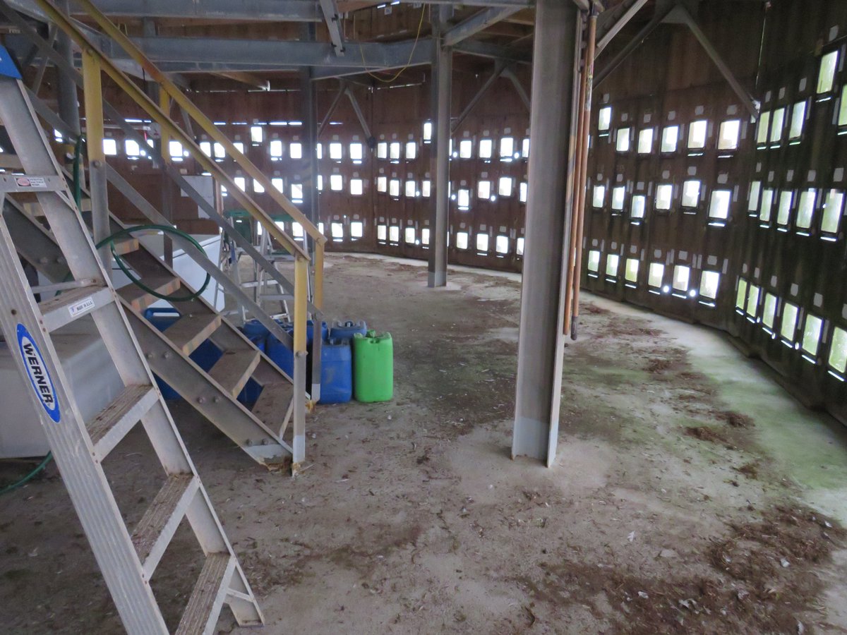 killerwhelan's tweet photo. Spring cleaning in the kittiwake tower: before &amp; after https://t.co/kNbFmuv1LG