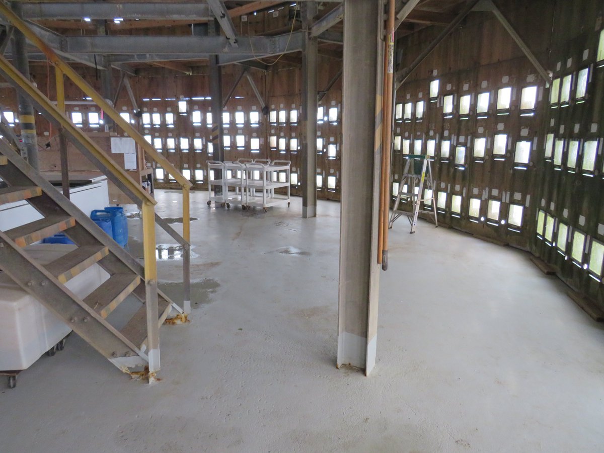 killerwhelan's tweet photo. Spring cleaning in the kittiwake tower: before &amp; after https://t.co/kNbFmuv1LG