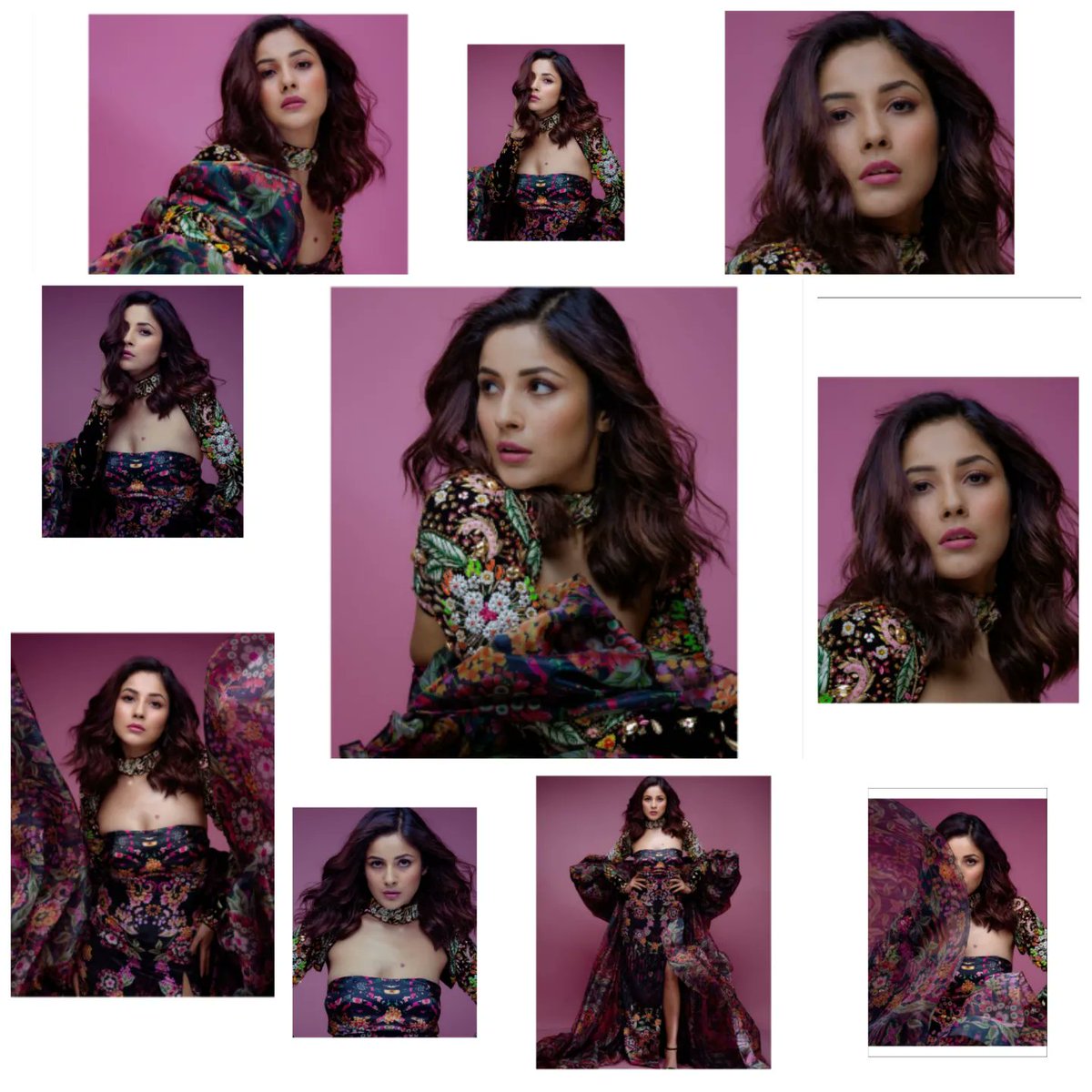 #ShehnaazKaurGill
