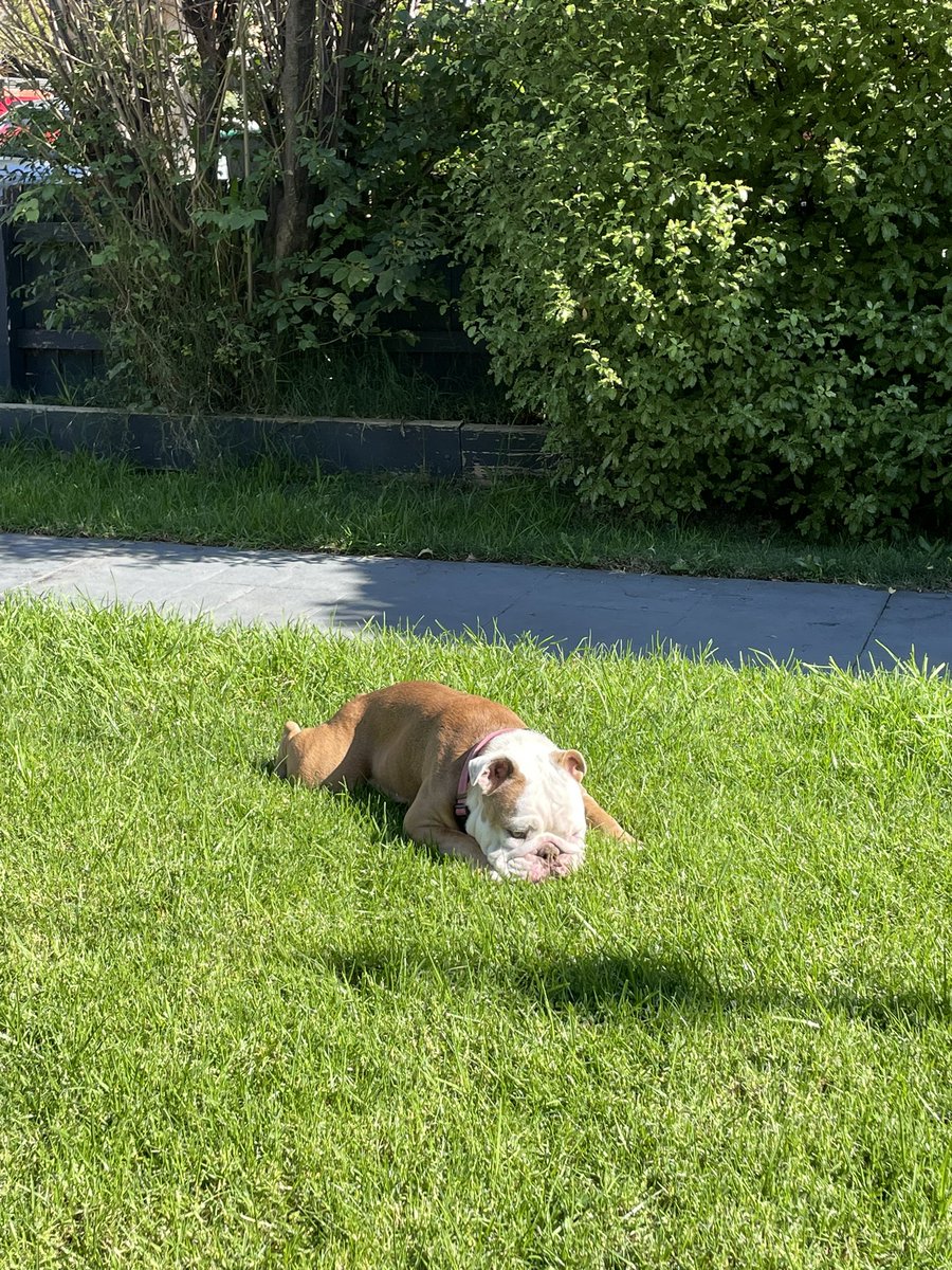 Yolanda Redrup tweet media