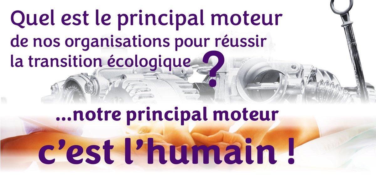 Inprincipo's tweet photo. Quel est aujourd’hui le principal moteur de nos organisations pour réussir la transition écologique ? #Lire : https://t.co/03Ghm9x7iw #transition #IntelligenceCollective #InnovationManagériale #DynamiquesCollaboratives #Régénération https://t.co/WnkMSxTJU4