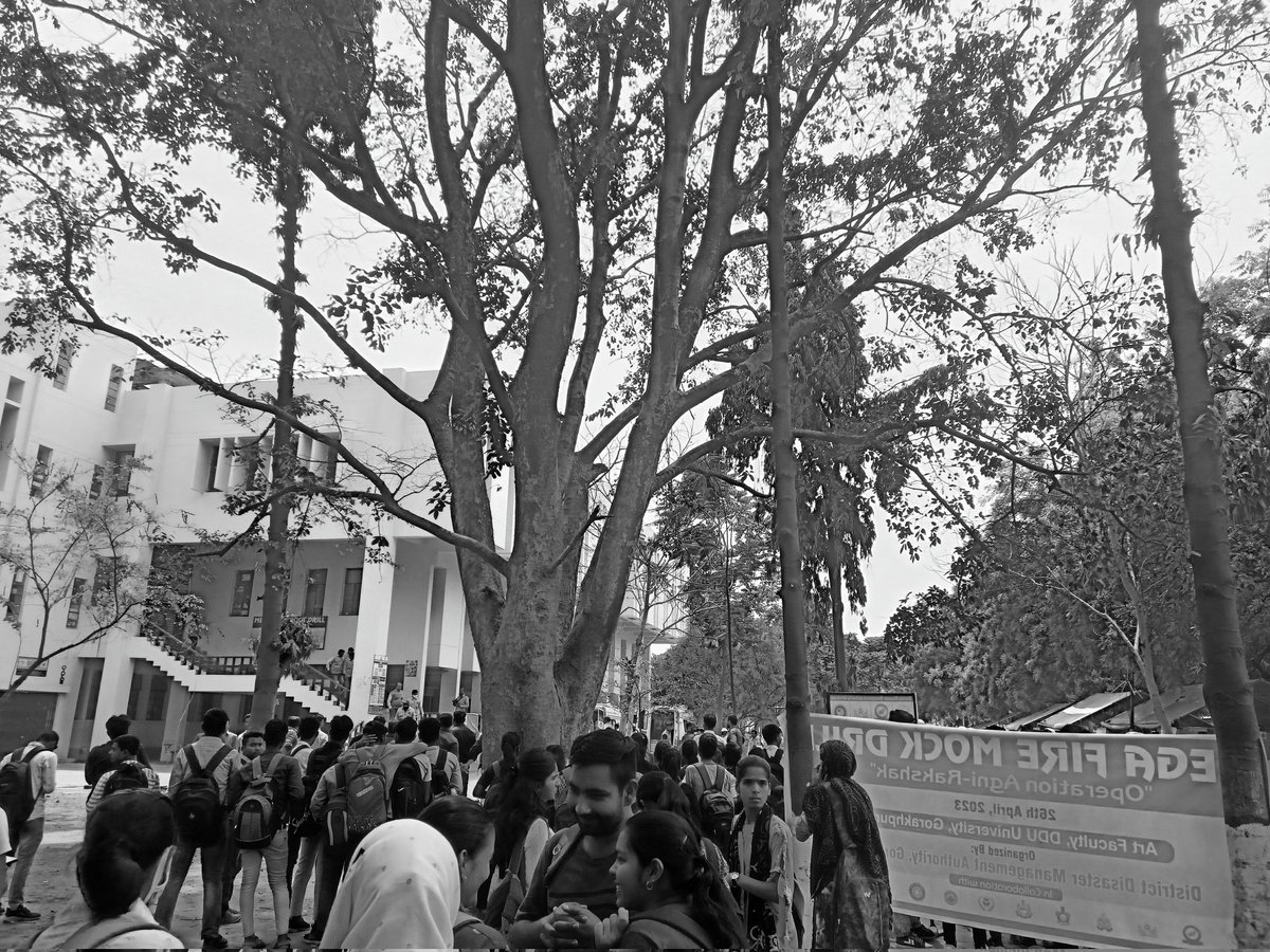 TechThinker3's tweet photo. Kon kahta hai ki hamre college me kuch productive nahi hota ☠️

Hota hai na ,,bass ye hai ki jaroorat jaha hoti hai ..........

No more comments 

But appreciate karna to Banta hai , @DDUGU_Official  @DMSriLanka https://t.co/VMwz1TRm9A