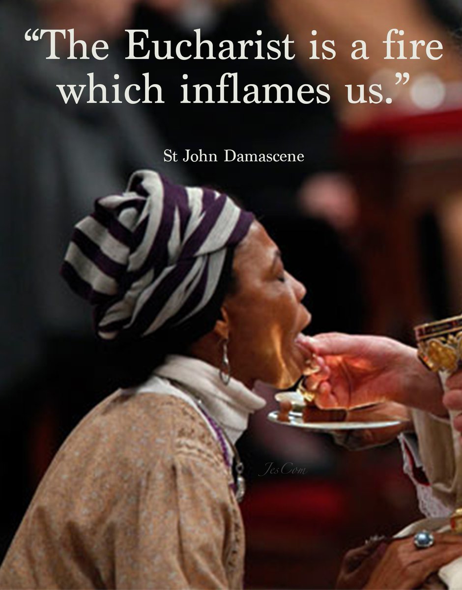 “The Eucharist is a fire
 which inflames us.” 

St John Damascene
