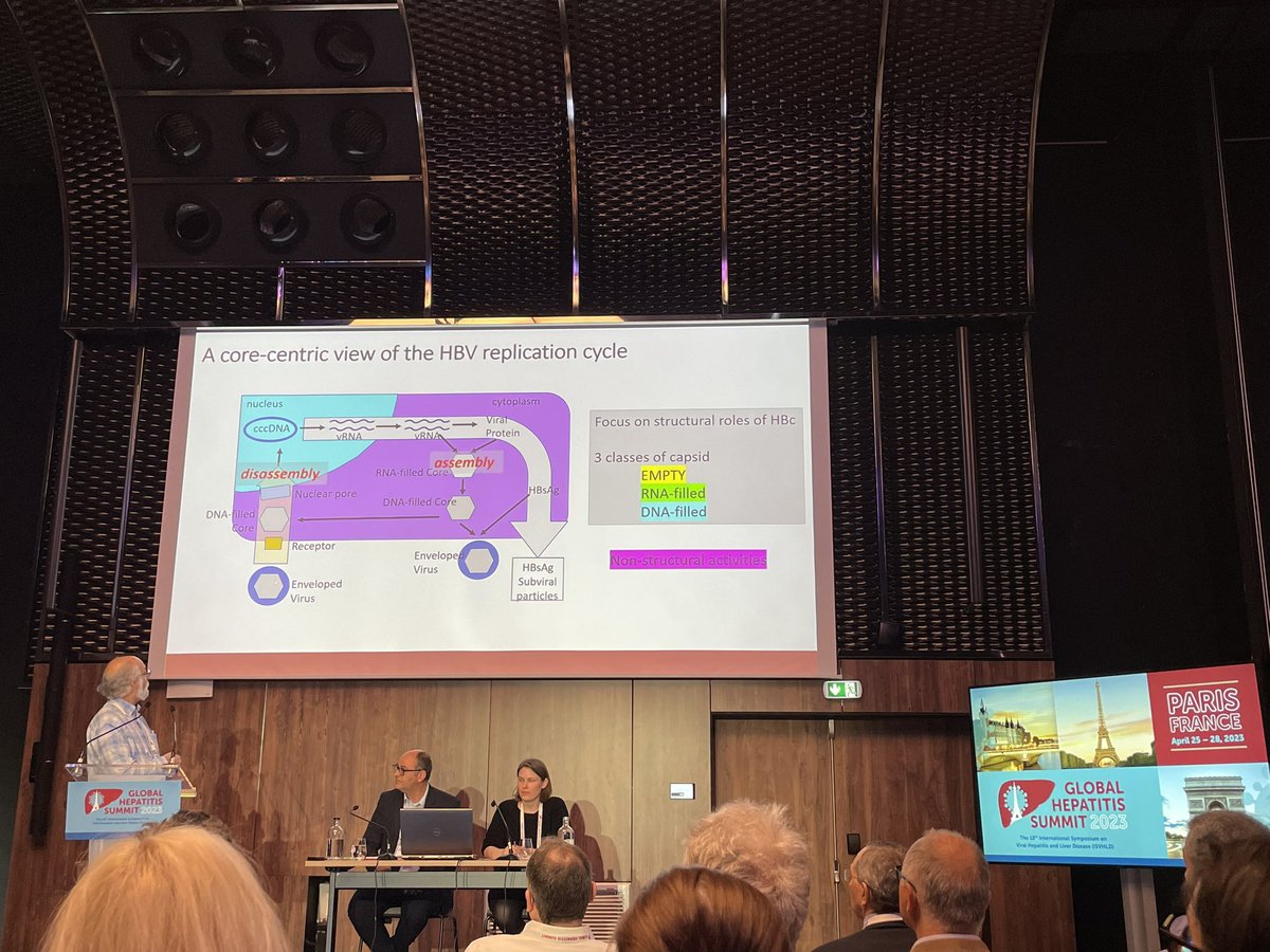 HepvirTeam's tweet photo. Second day at the Global Hepatitis Summit #GSH. Morning session with @David_Durantel and Lena Allweiss as chairs. #HBV #HDV https://t.co/HkiEXfQKba